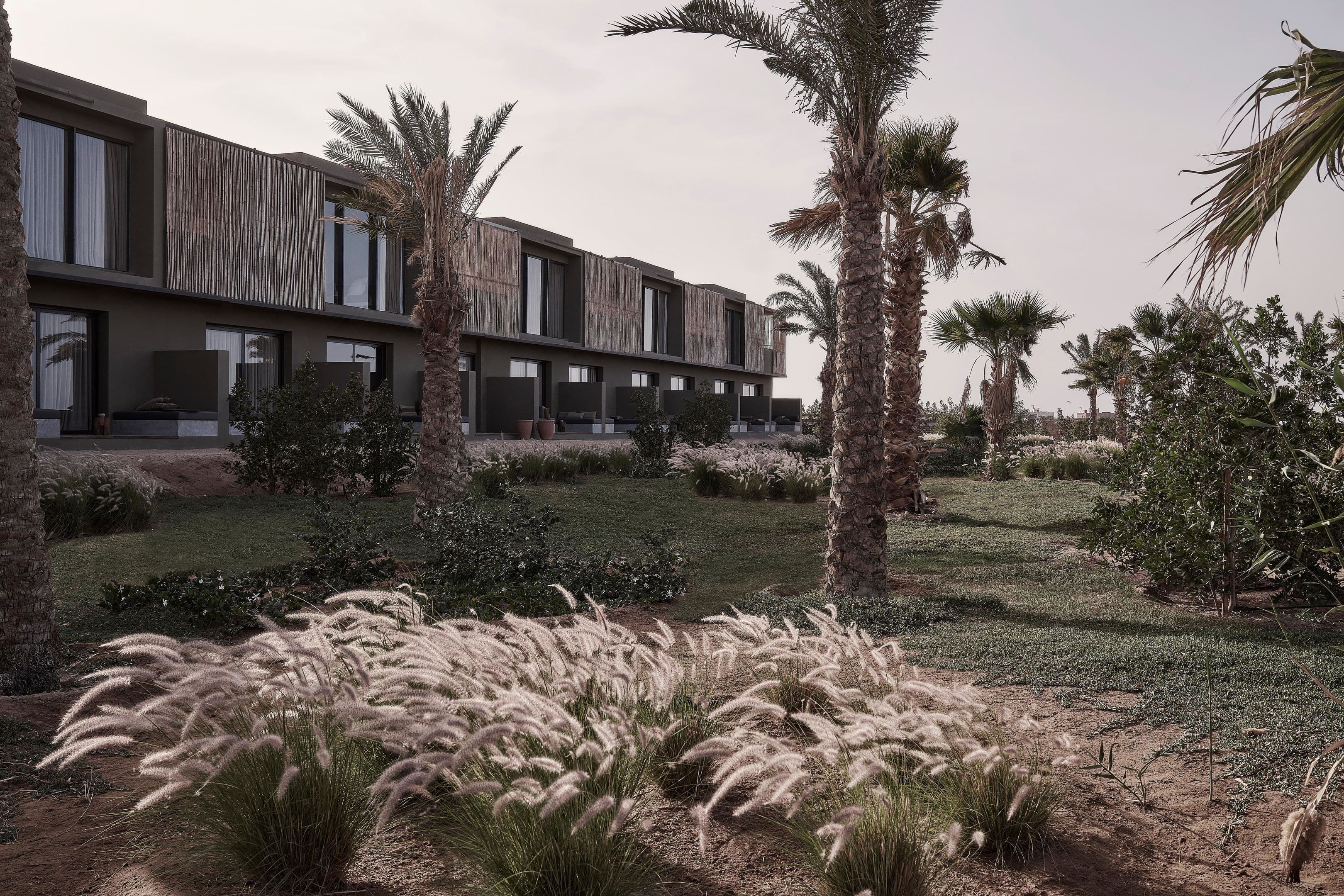 Casa Cook El Gouna (Adults Only 16+) - 6