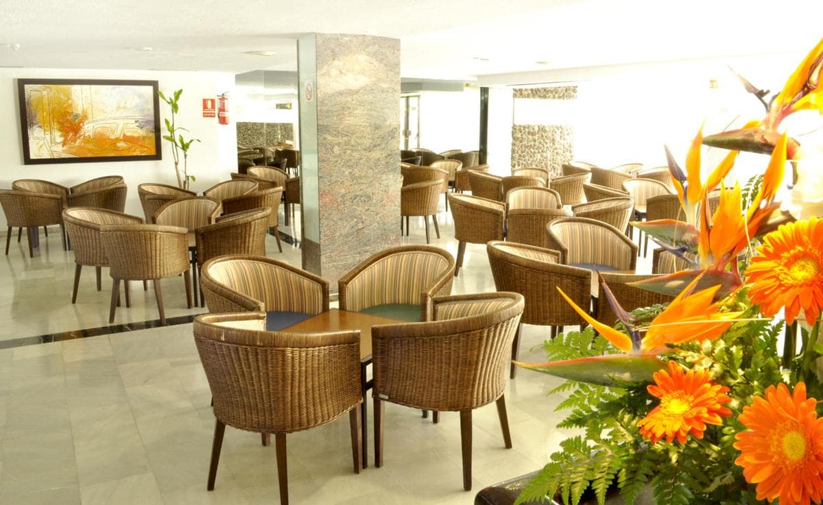 Hotel Catalonia Oro Negro - 17