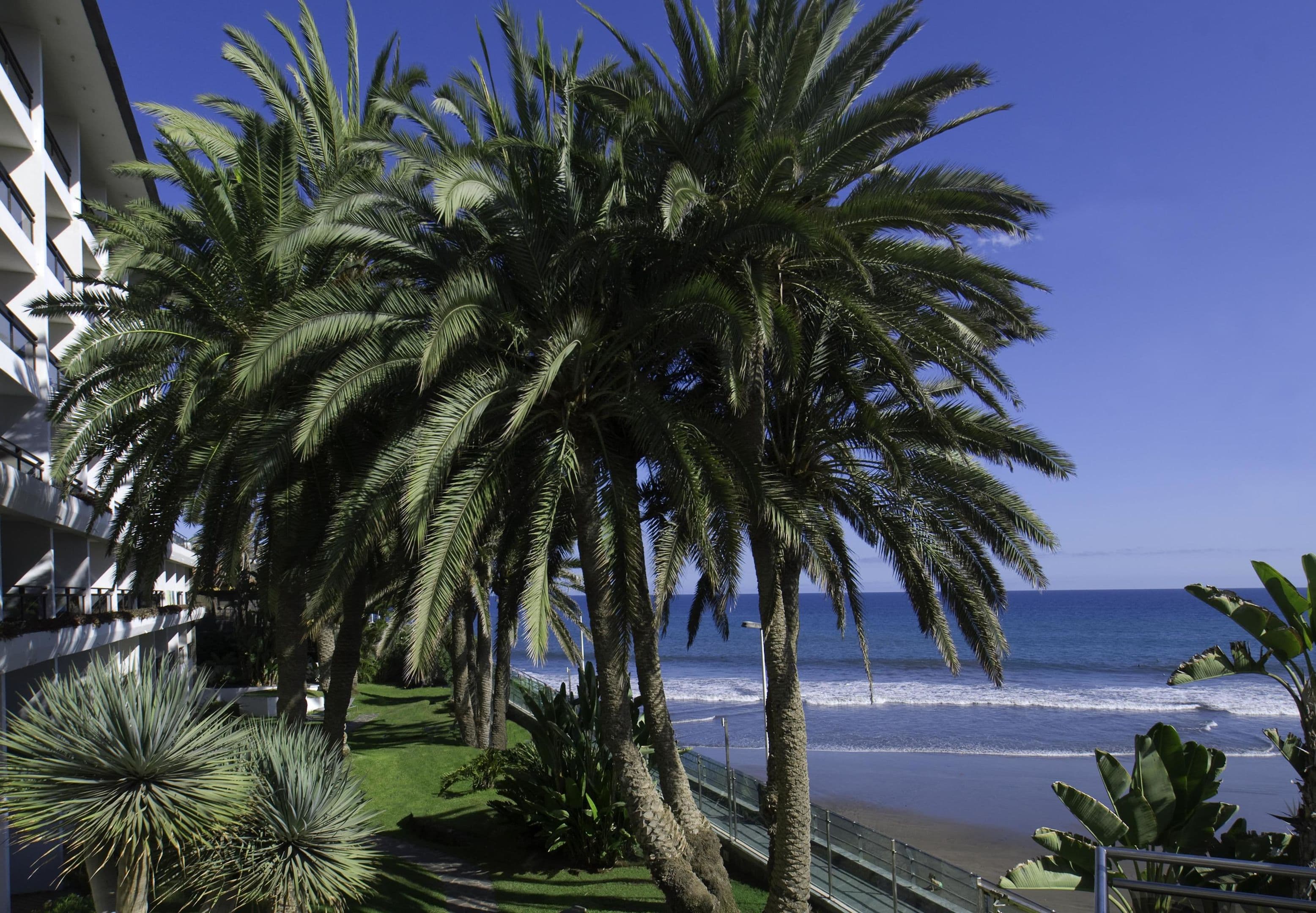 Hotel Don Gregory by Dunas - Adults Only - 61