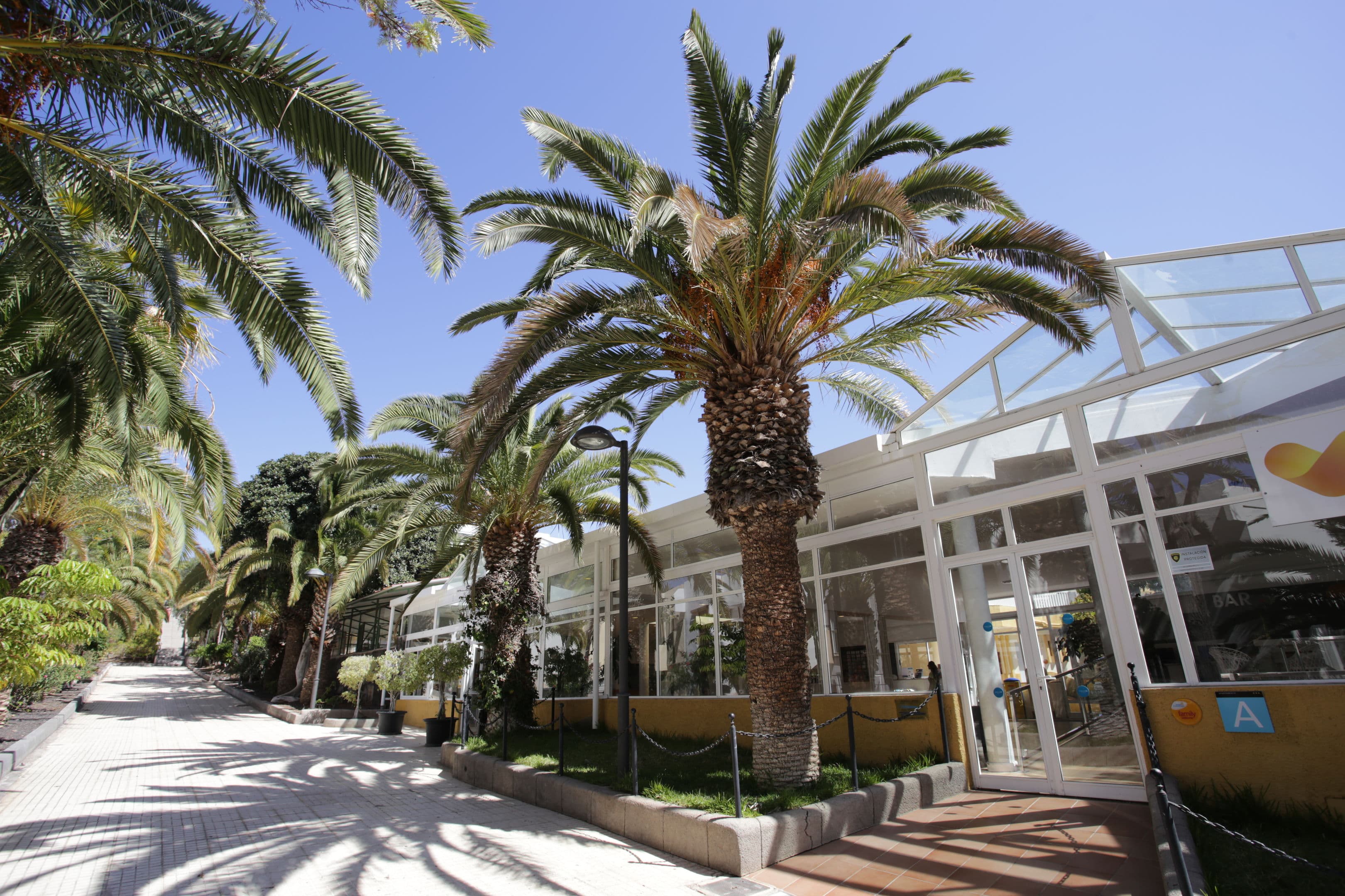 Hotel Check In Atlantida - 23