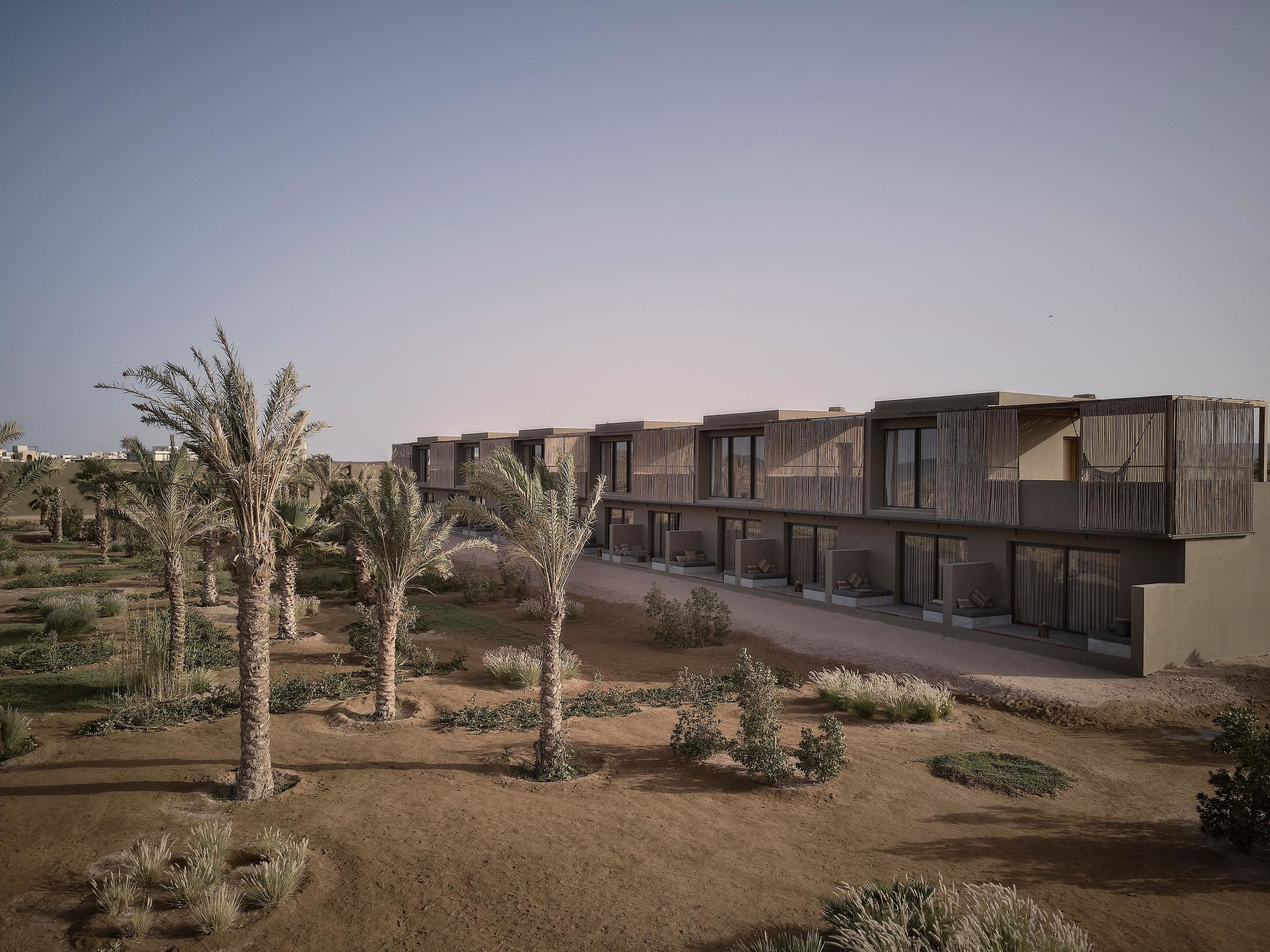 Casa Cook El Gouna (Adults Only 16+) - 7