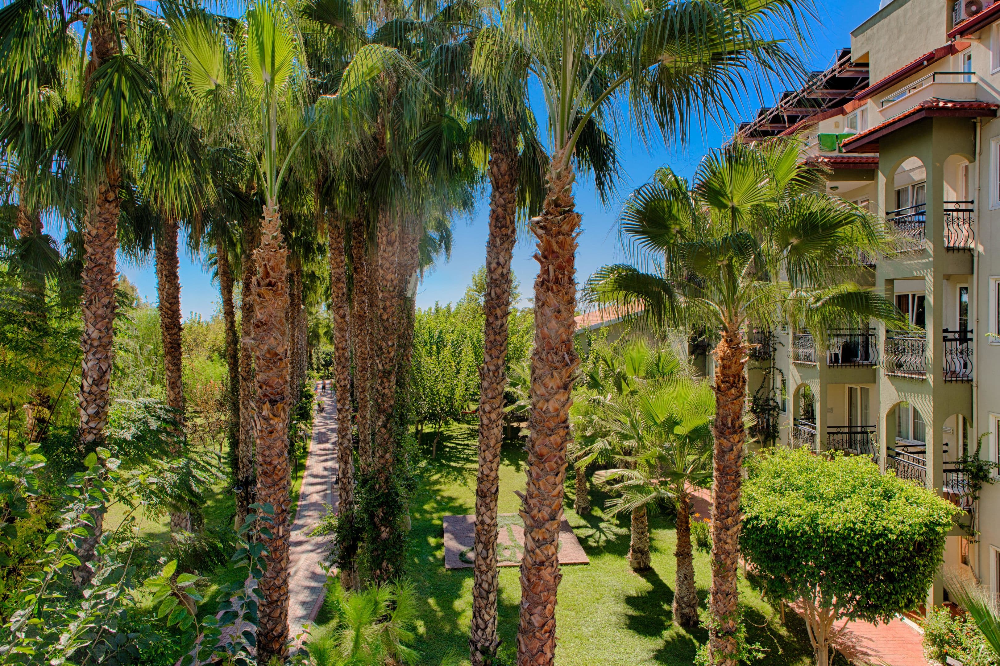 Charter Antalya - Gardenia Beach Hotel - 40