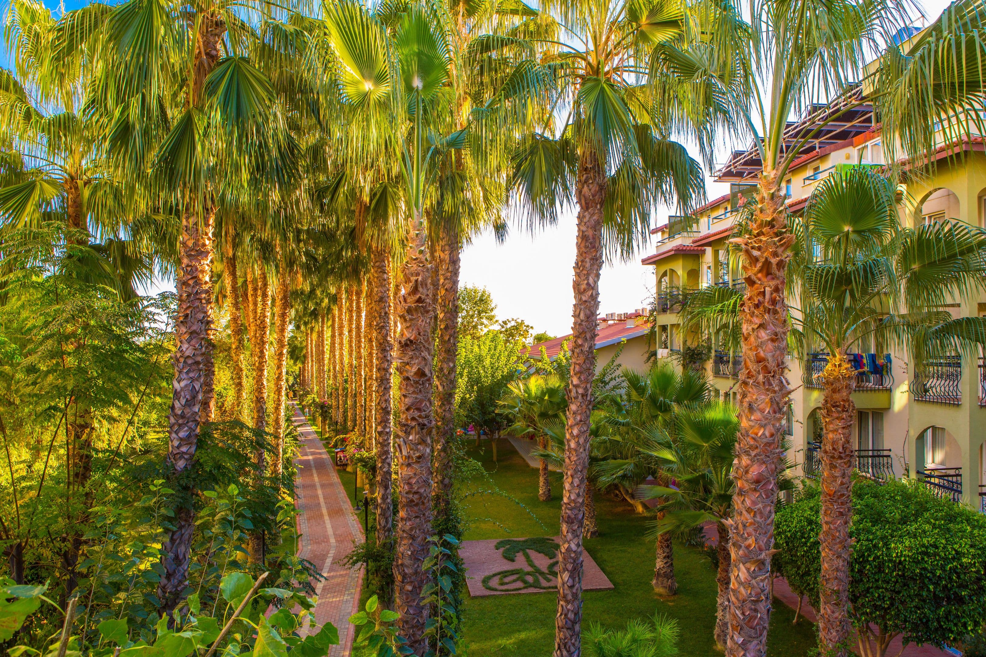 Charter Antalya - Gardenia Beach Hotel - 41