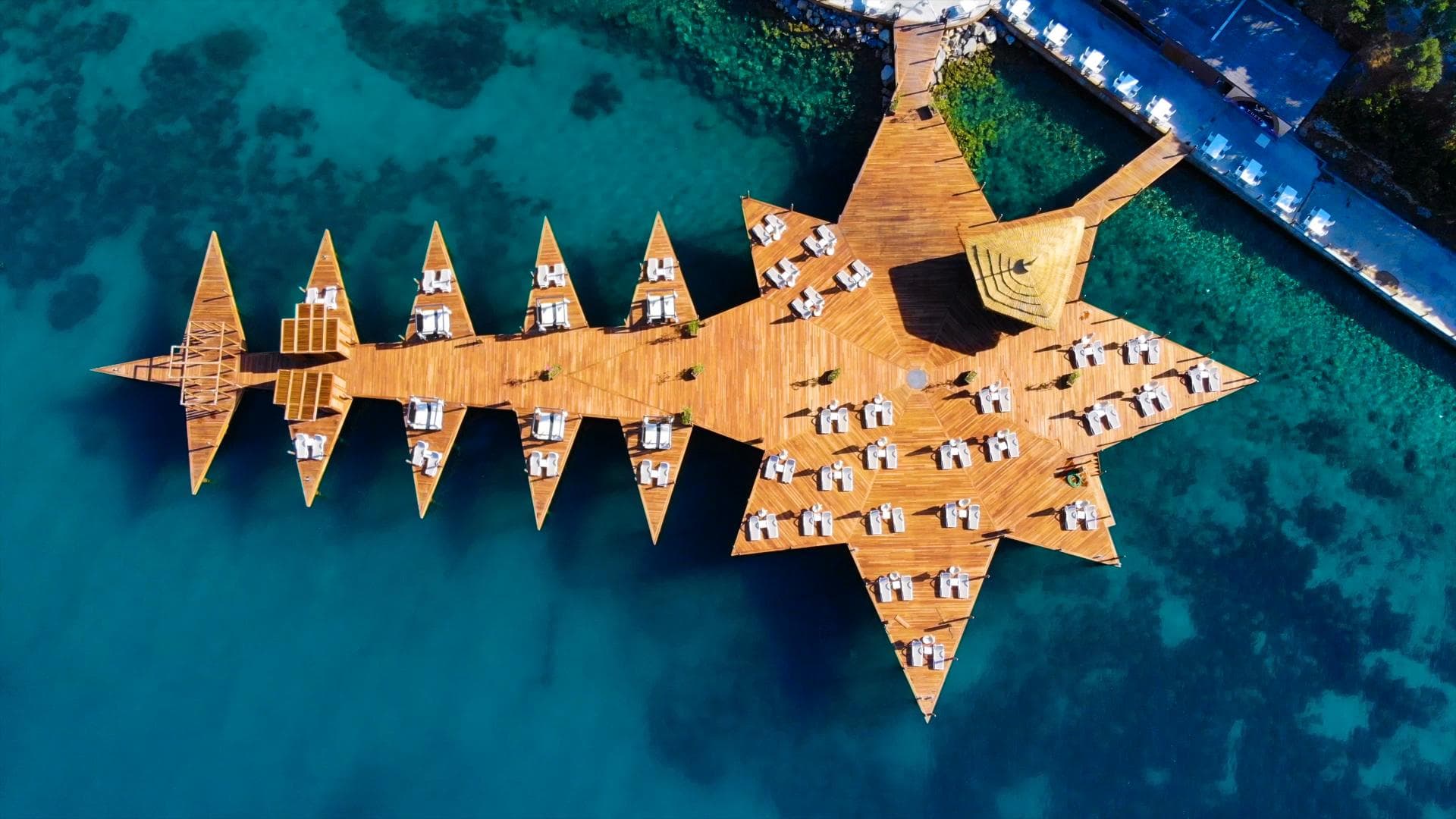 Duja Bodrum - 97
