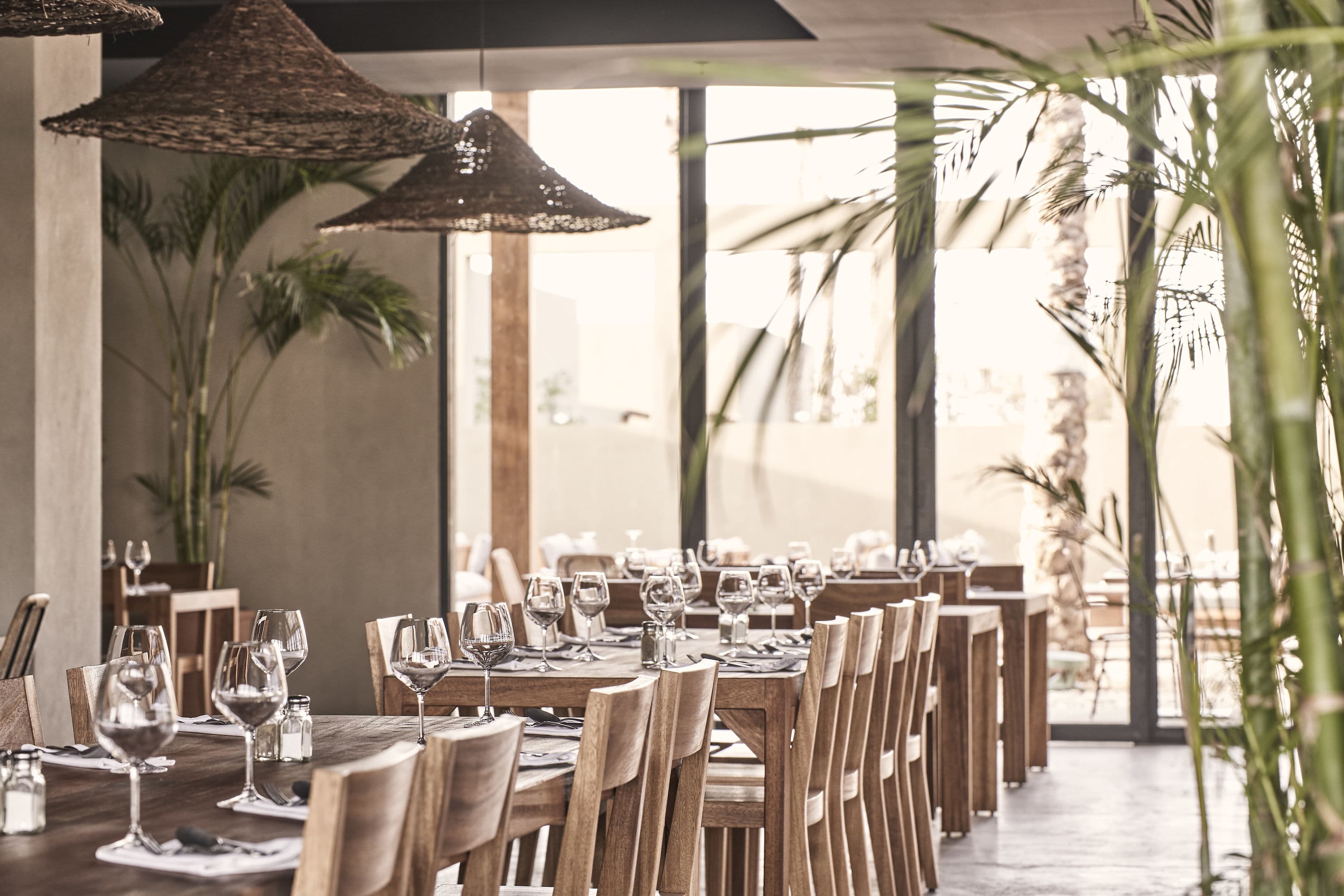 Casa Cook El Gouna (Adults Only 16+) - 72