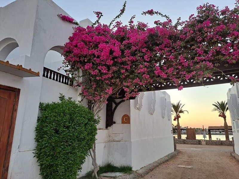 Arabella Azur Resort - 82
