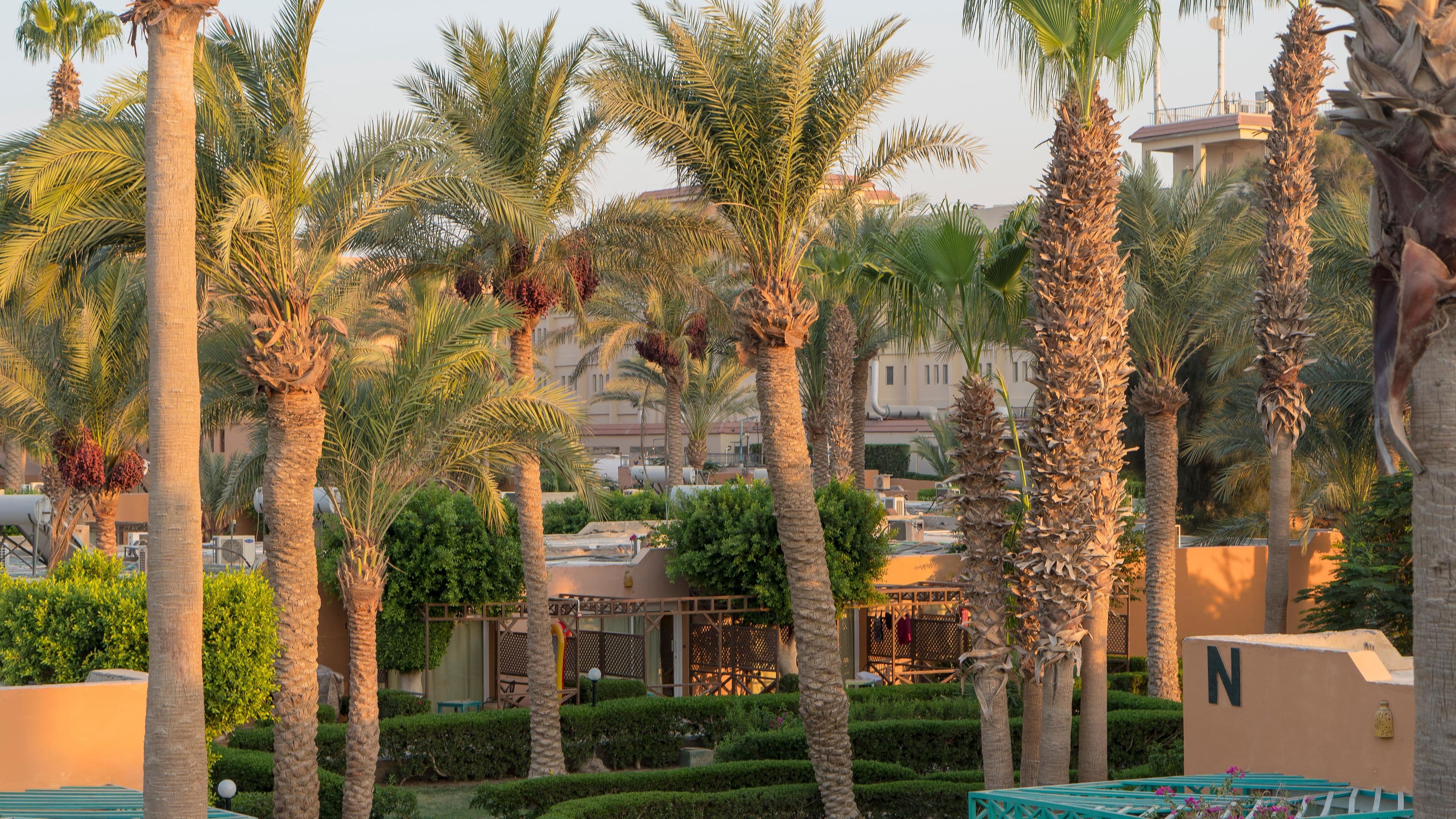 Giftun Azur Resort - 90