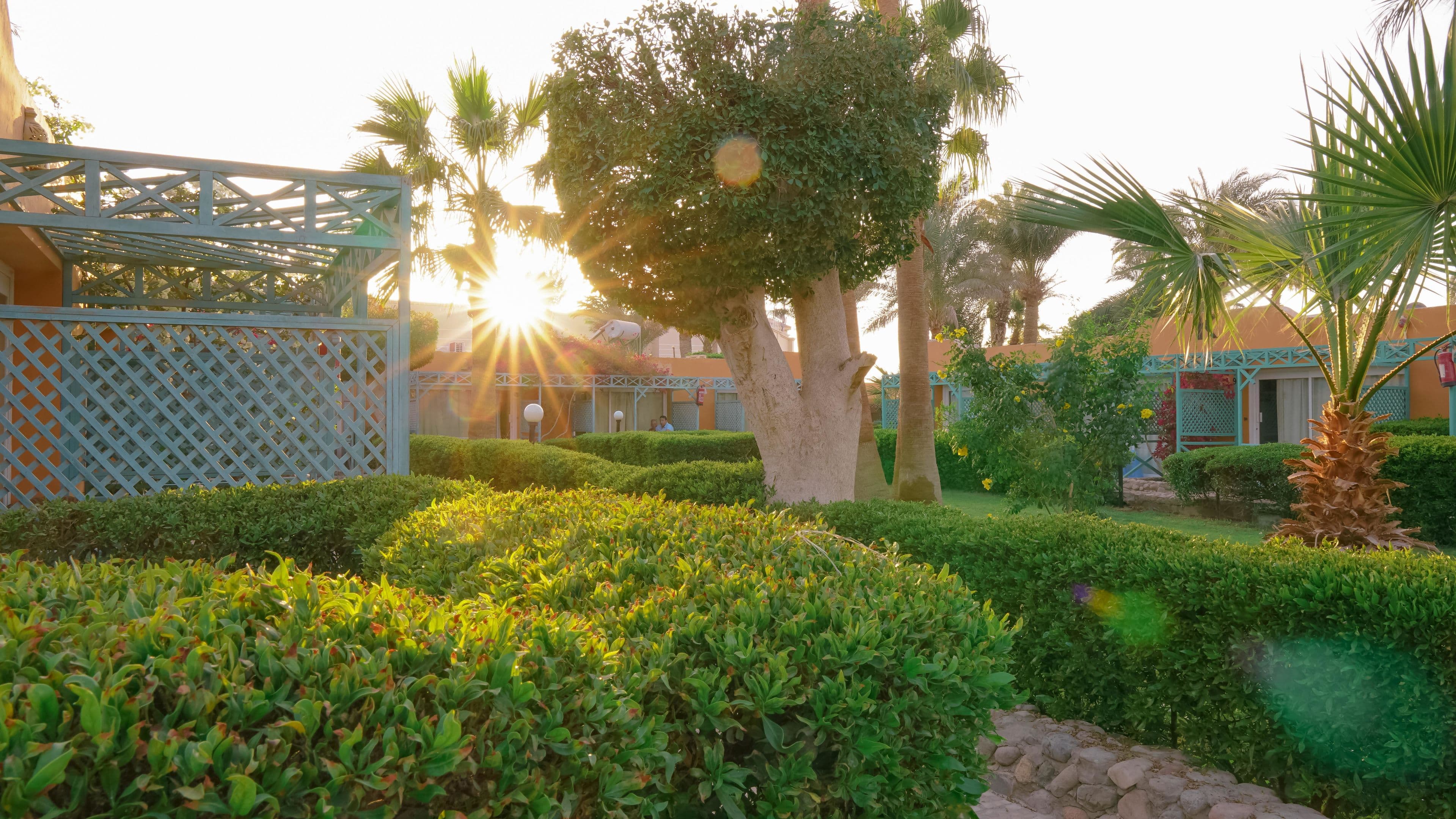 Giftun Azur Resort - 91