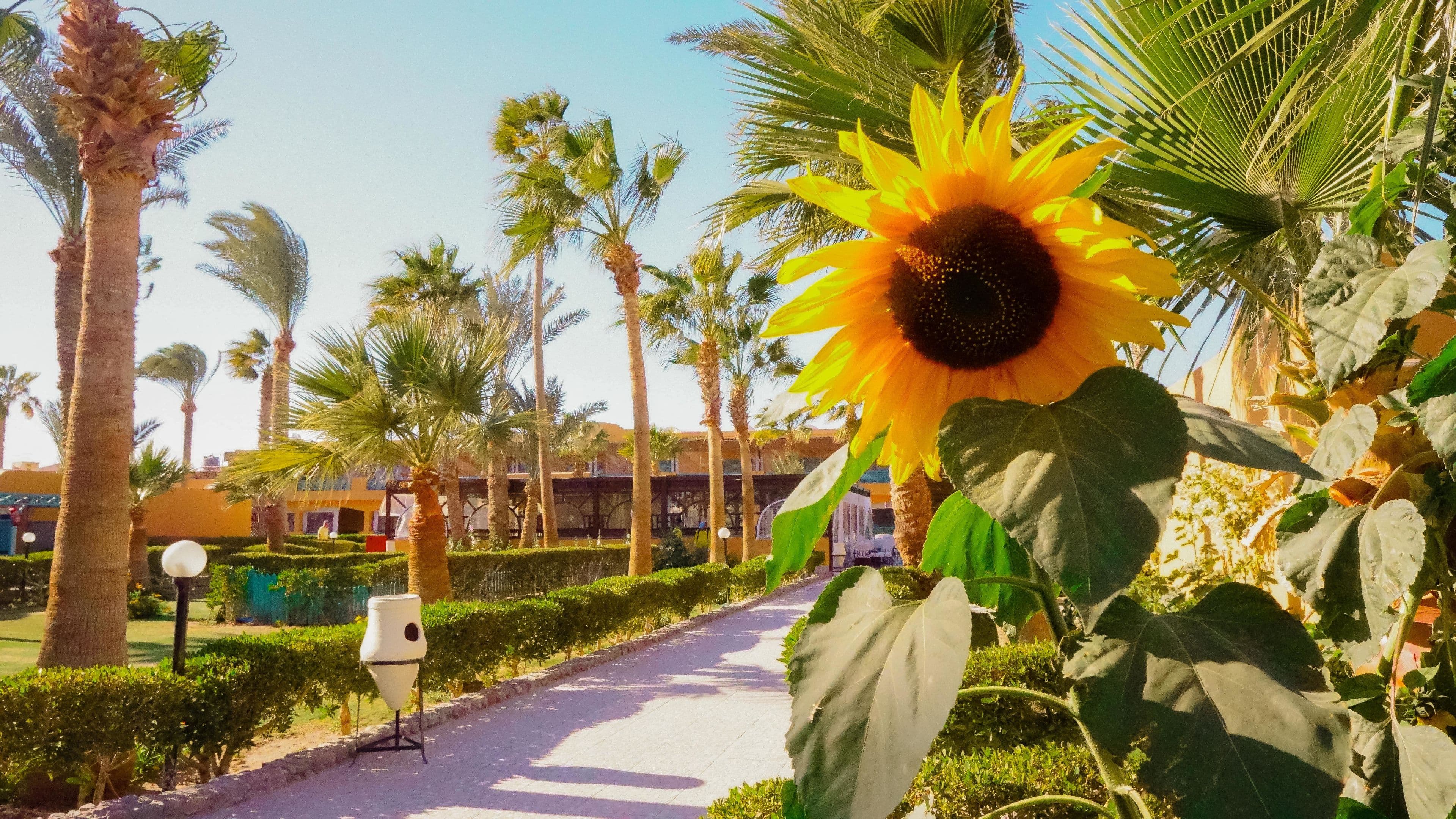 Giftun Azur Resort - 92