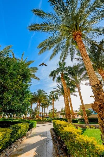 Golden Beach Resort - 87