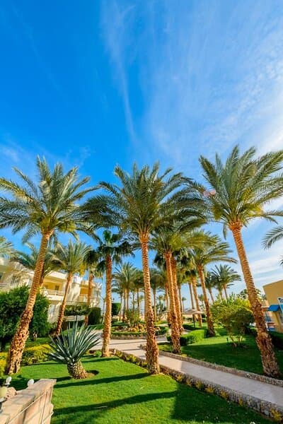 Golden Beach Resort - 89