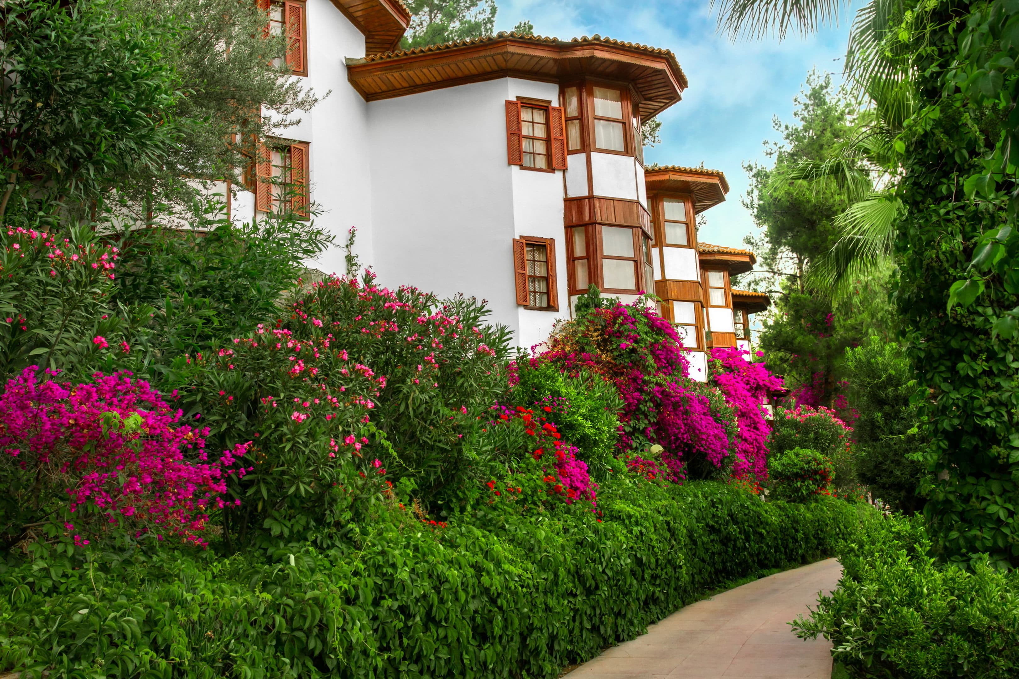 Club & Hotel Letoonia - 26