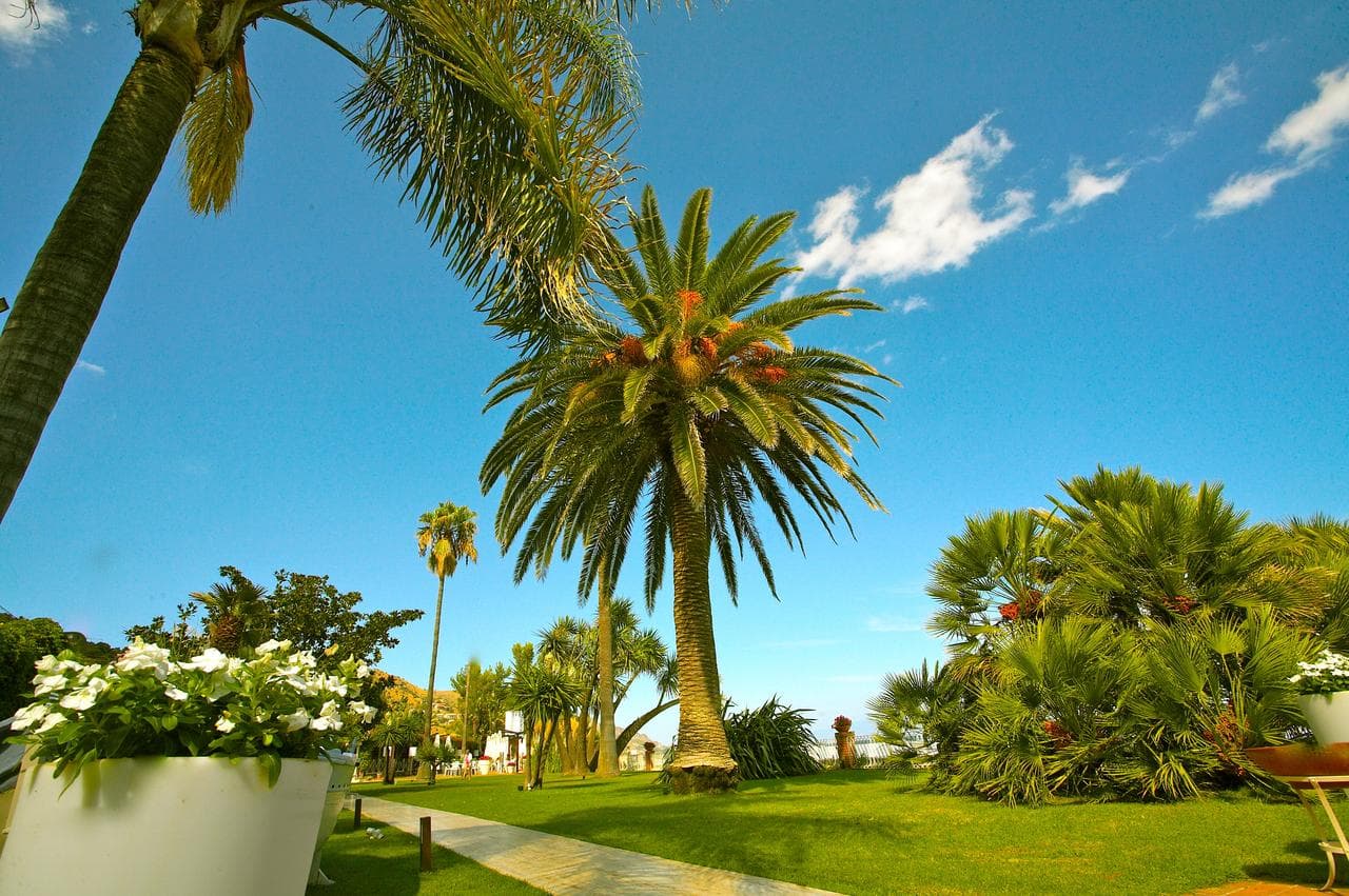 Sejur Sicilia - Hotel Caparena - 4