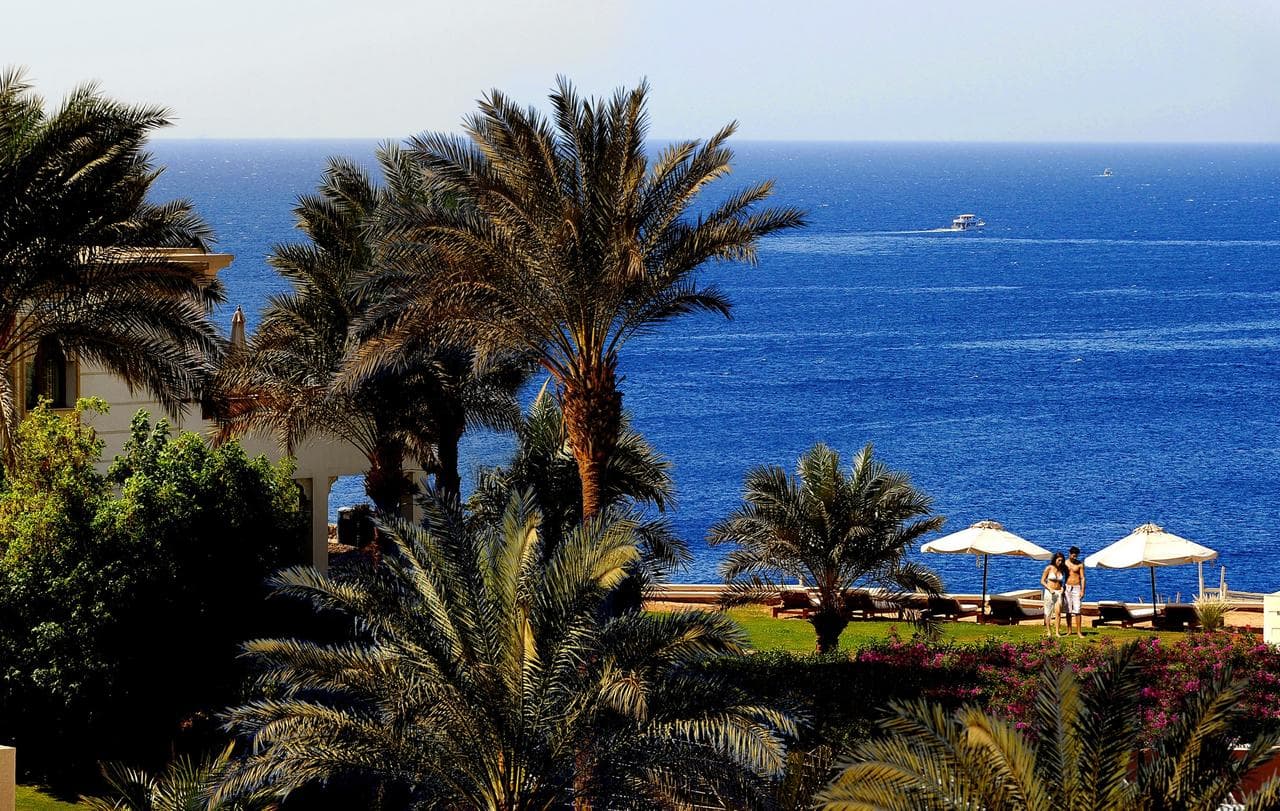Reef Oasis Beach Resort - 8