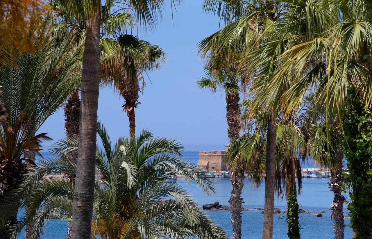 Annabelle Resort - 12