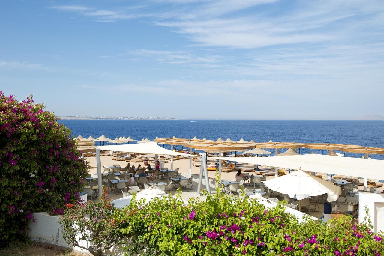 Amphoras Blu Resort - Adult Only 16+ (ex Shores Aloha Sharm) - 5