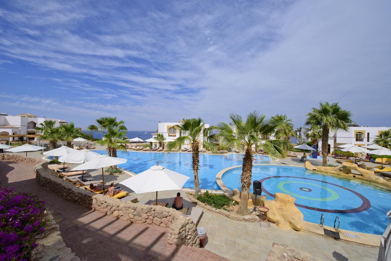 Amphoras Blu Resort - Adult Only 16+ (ex Shores Aloha Sharm) - 6
