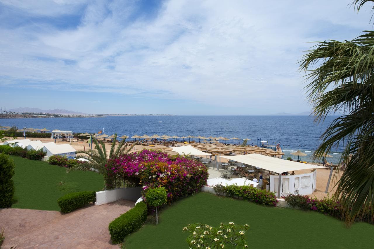Amphoras Blu Resort - Adult Only 16+ (ex Shores Aloha Sharm) - 7