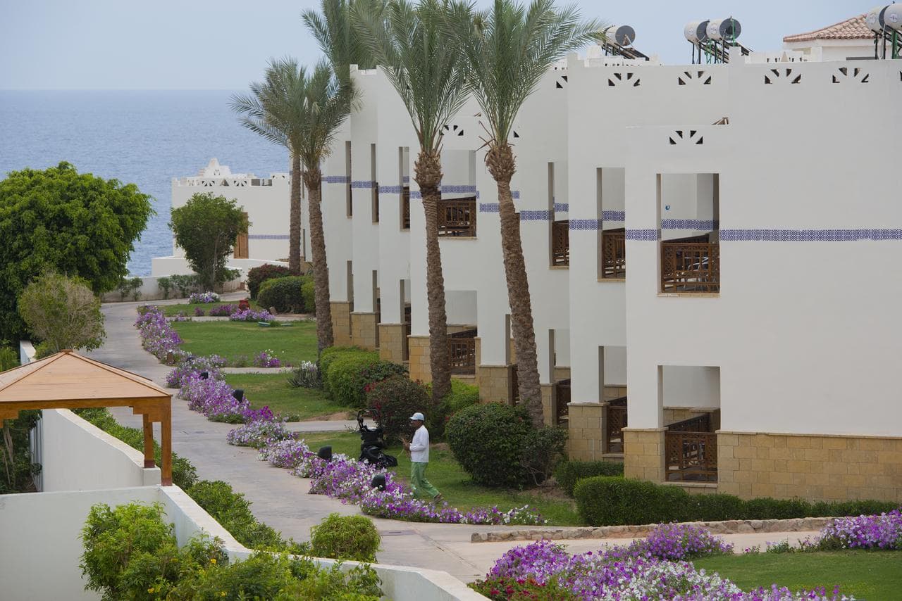 Amphoras Blu Resort - Adult Only 16+ (ex Shores Aloha Sharm) - 8