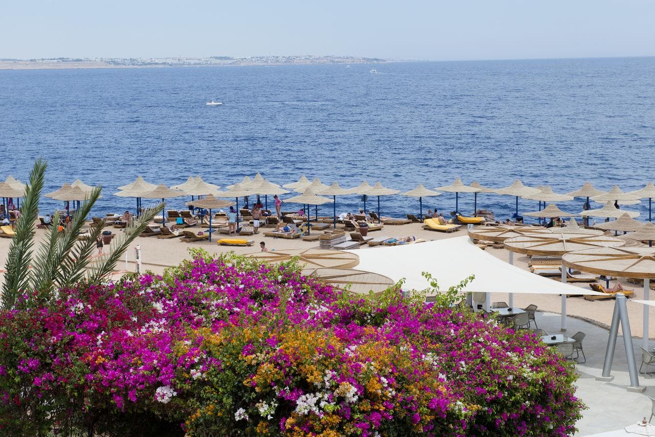 Amphoras Aqua Resort - Adult Only 12+ - 10