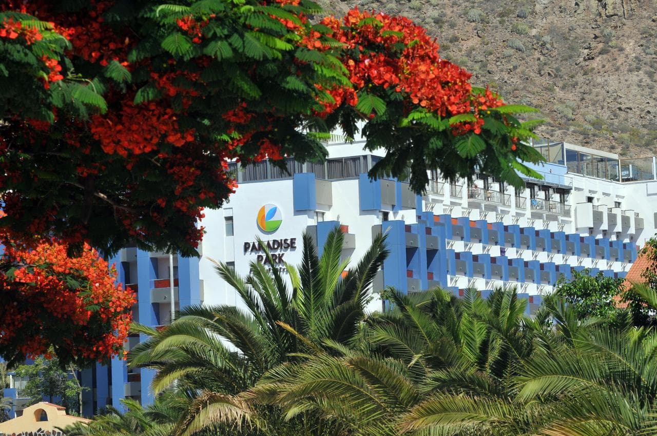 Paradise Park Fun Lifestyle Hotel - 5