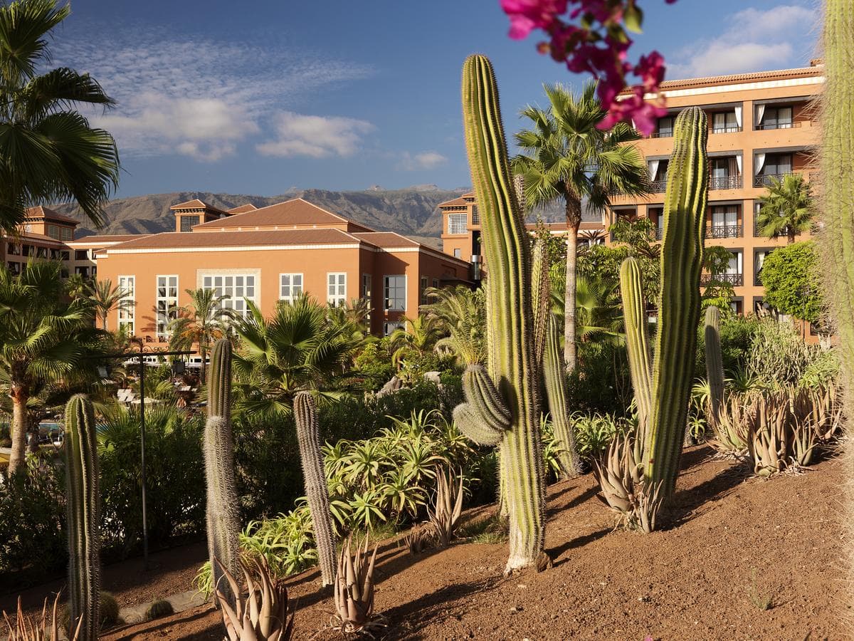 Hotel H10 Costa Adeje Palace - 9