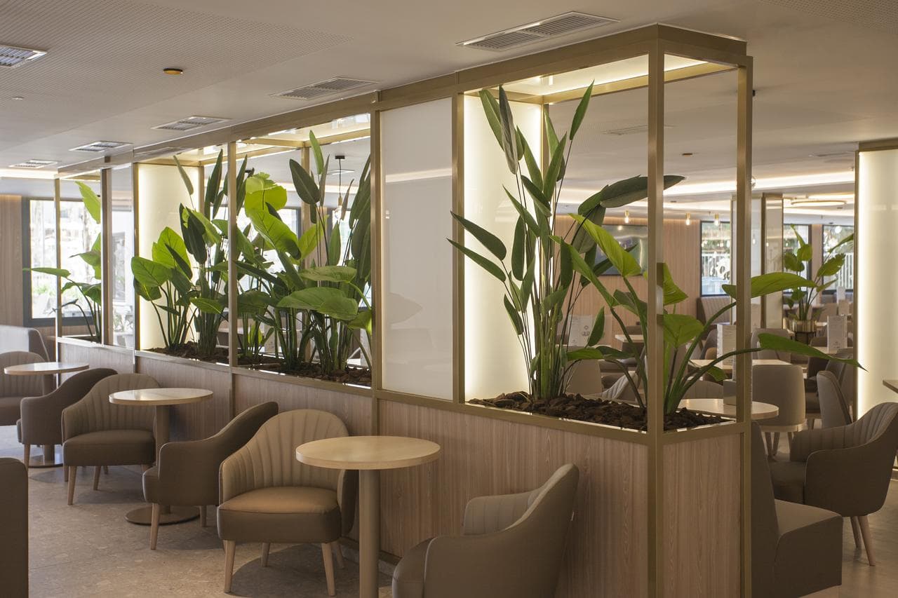 Hotel Presidente - 6