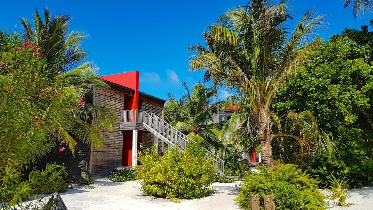 Sejur Maldive - The Barefoot Eco Hotel - 10