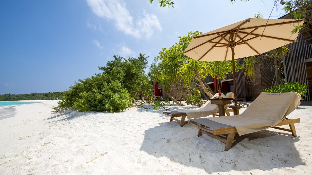 Sejur Maldive - The Barefoot Eco Hotel - 13