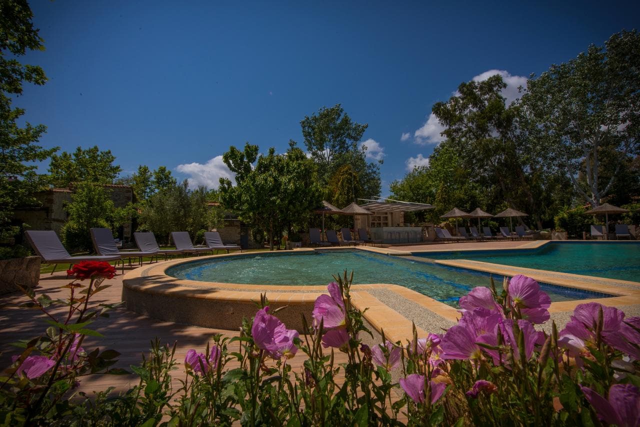 Petrino Suites Hotel - 1