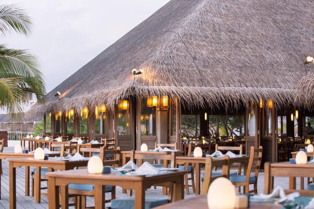 Sejur Maldive - Meeru Island Resort - 12