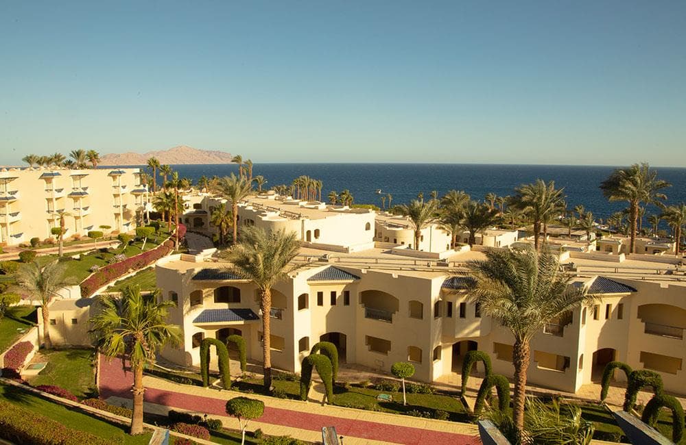 Grand Oasis Resort - 8