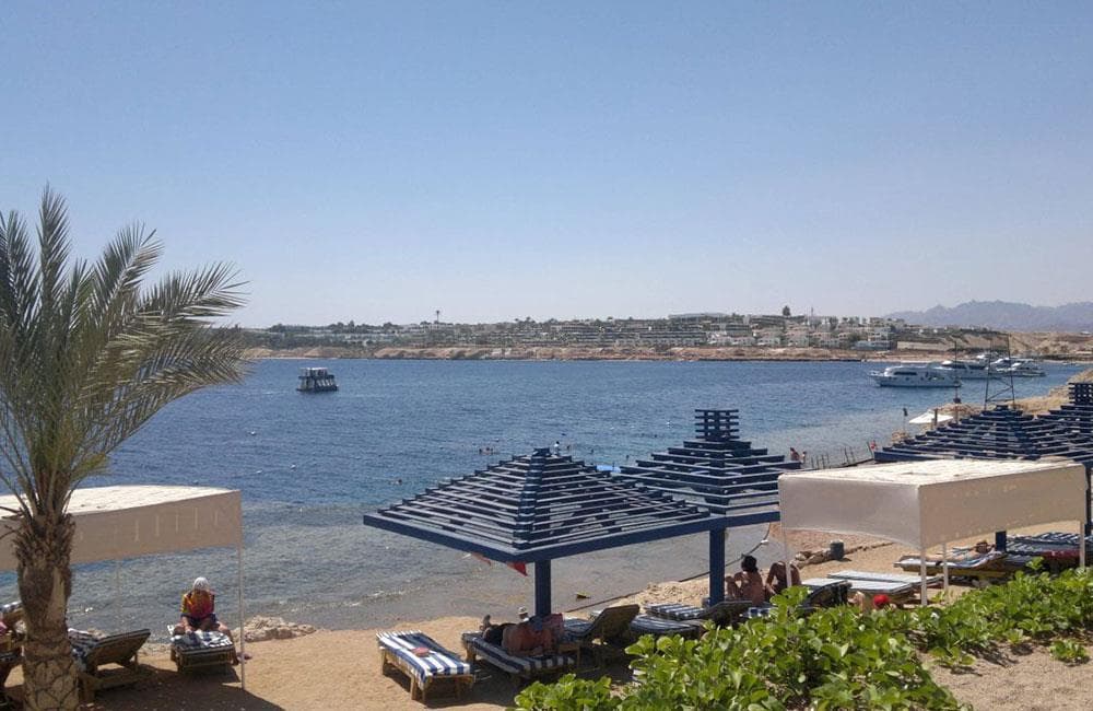Grand Oasis Resort - 9