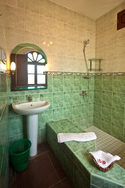 Asmini Palace Hotel - 9