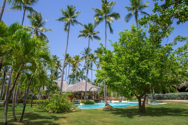 Impressive Premium Punta Cana - 5