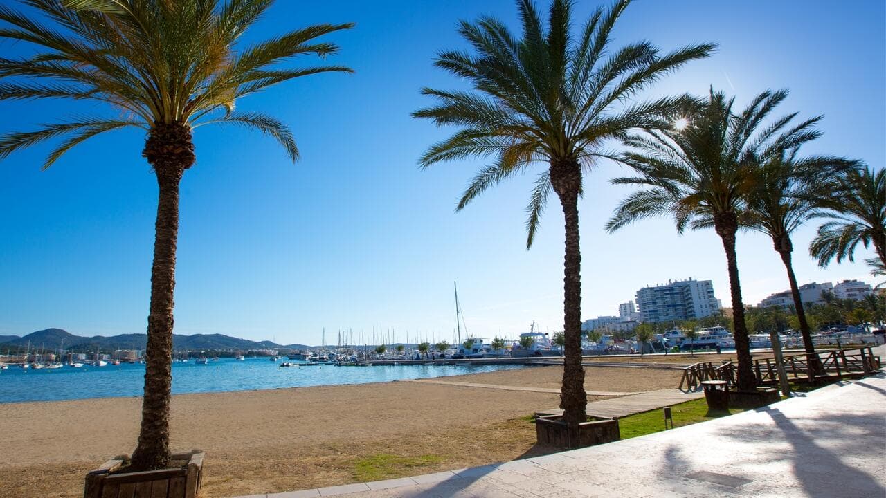 Invisa Hotel Es Pla - Adults Only - 8
