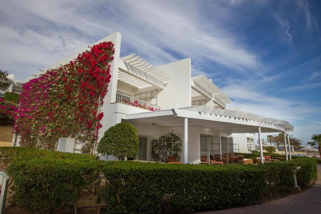 Royal Monte Carlo - 7