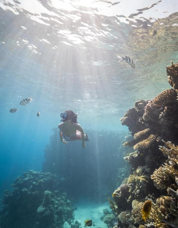 Four Seasons Resort Sharm El Sheikh - 23