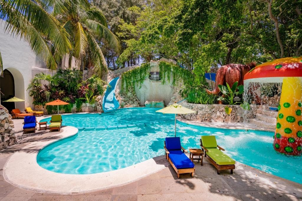 Grand Oasis Palm - 19