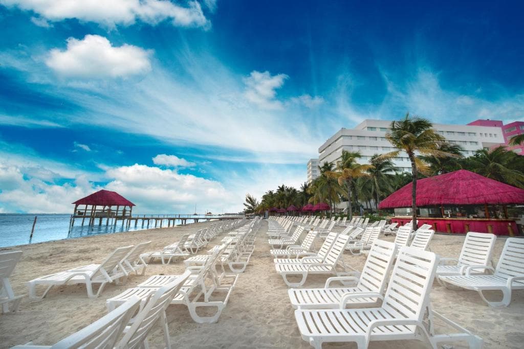 Grand Oasis Palm - 5