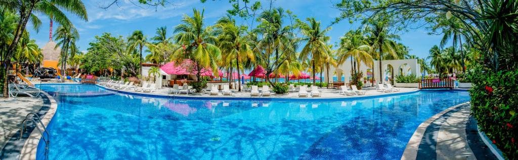 Grand Oasis Palm - 4