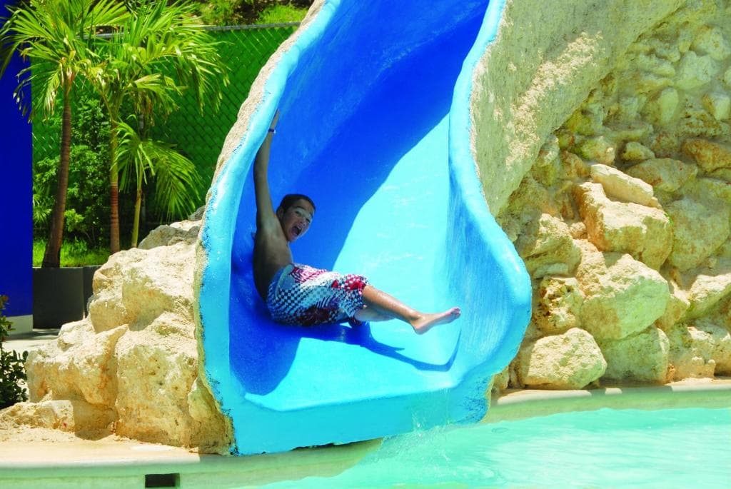Grand Oasis Palm - 20