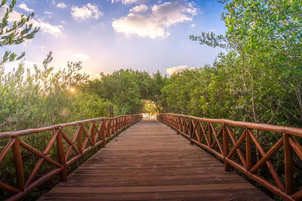 Platinum Yucatan Princess Spa Resort - Adults Only - 22