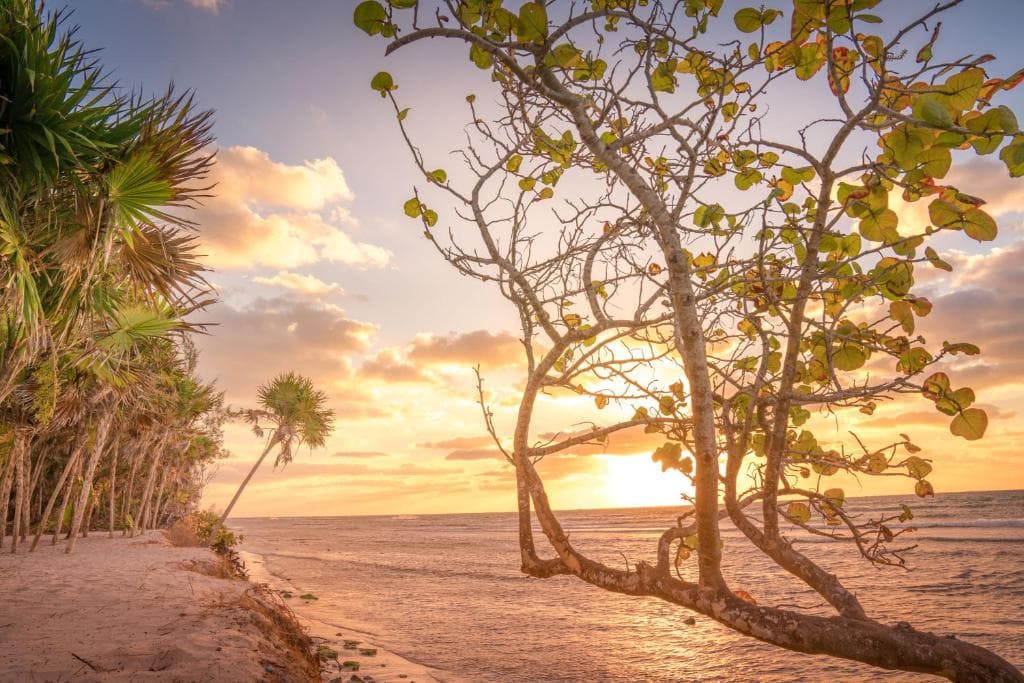 Platinum Yucatan Princess Spa Resort - Adults Only - 25