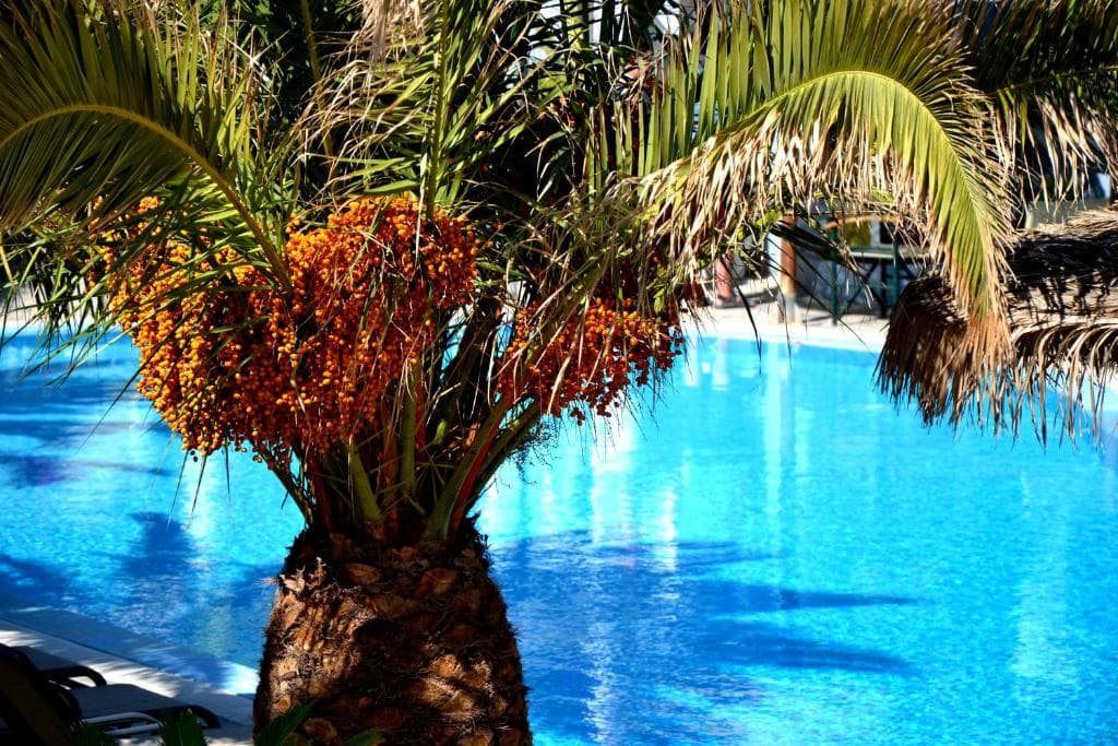 Zephyros Hotel - 7