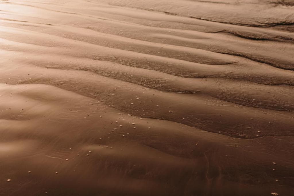 Hotel Don Gregory by Dunas - Adults Only - 10