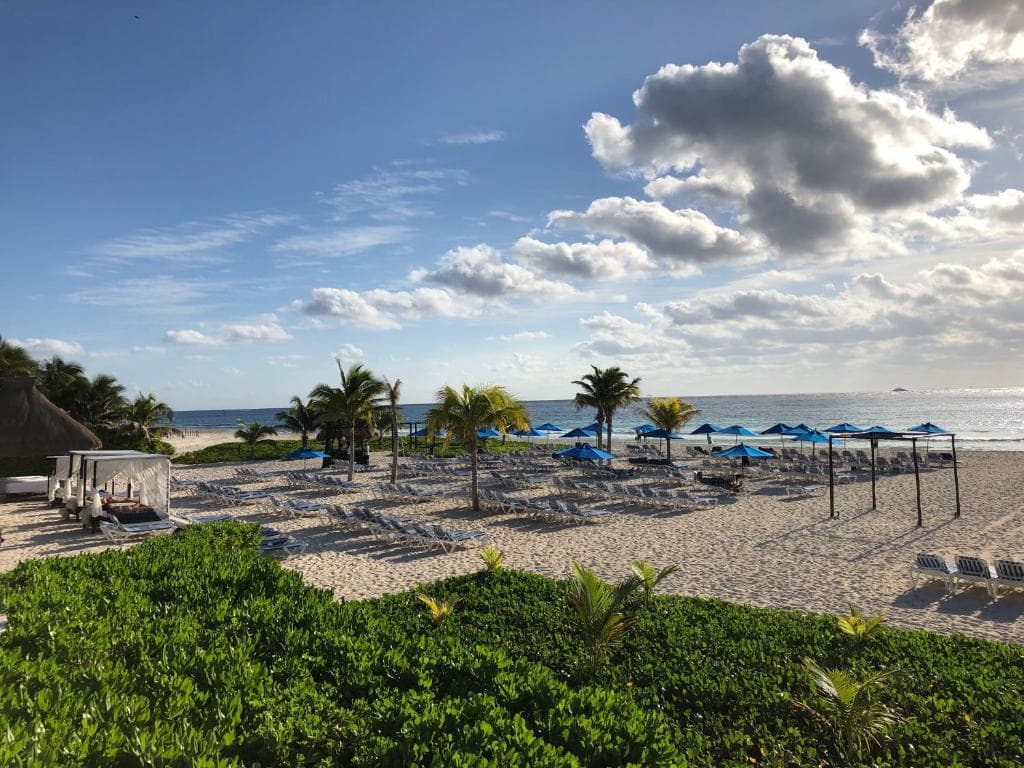 The Reef Playacar - 9