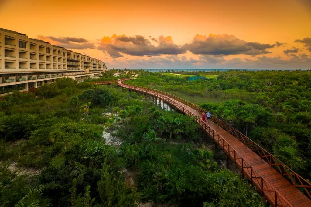 Atelier Playa Mujeres - 4