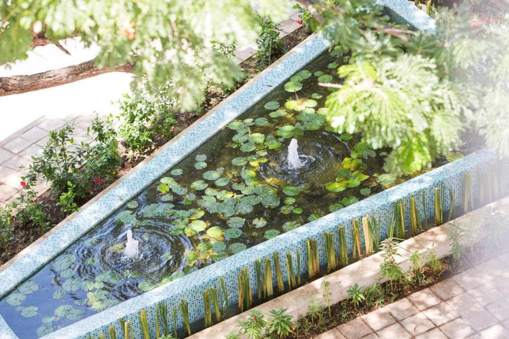 Park Hyatt Zanzibar - 35