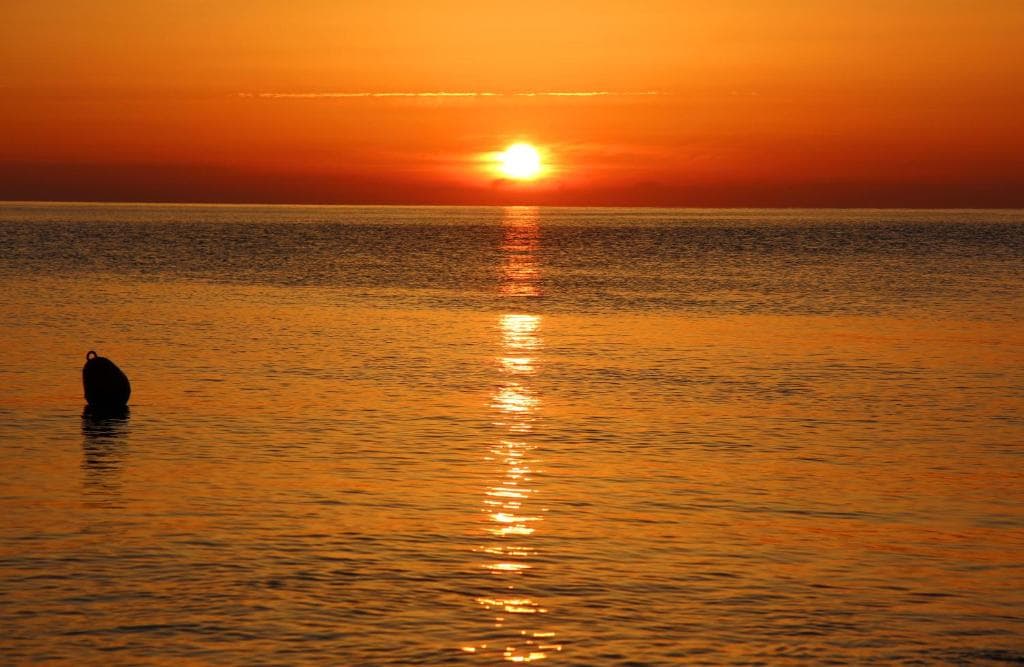 Faedra Beach Hotel - 16